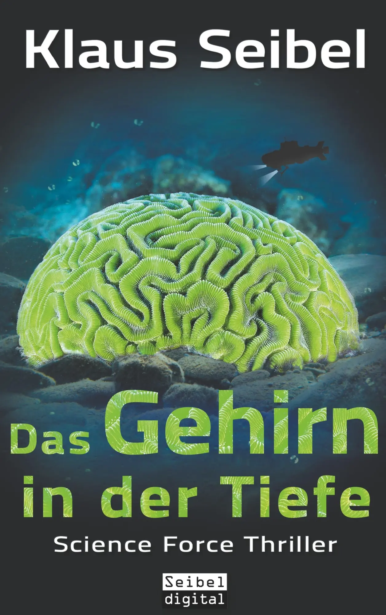 Cover: 9783752886856 | Das Gehirn in der Tiefe | Klaus Seibel | Taschenbuch | 324 S. | 2018