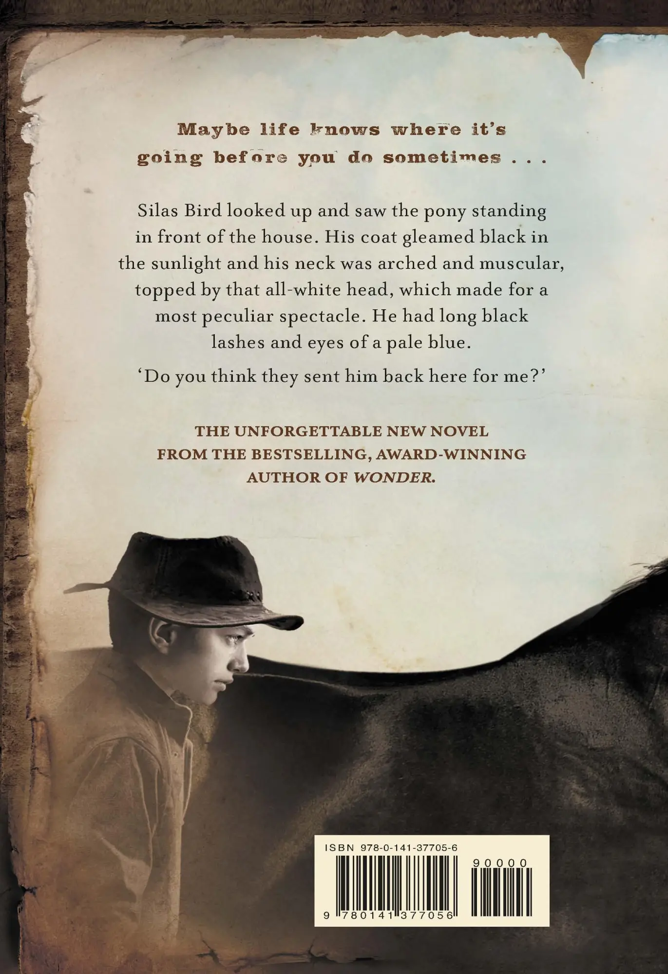 Rückseite: 9780141377056 | Pony | from the bestselling author of Wonder | R. J. Palacio | Buch