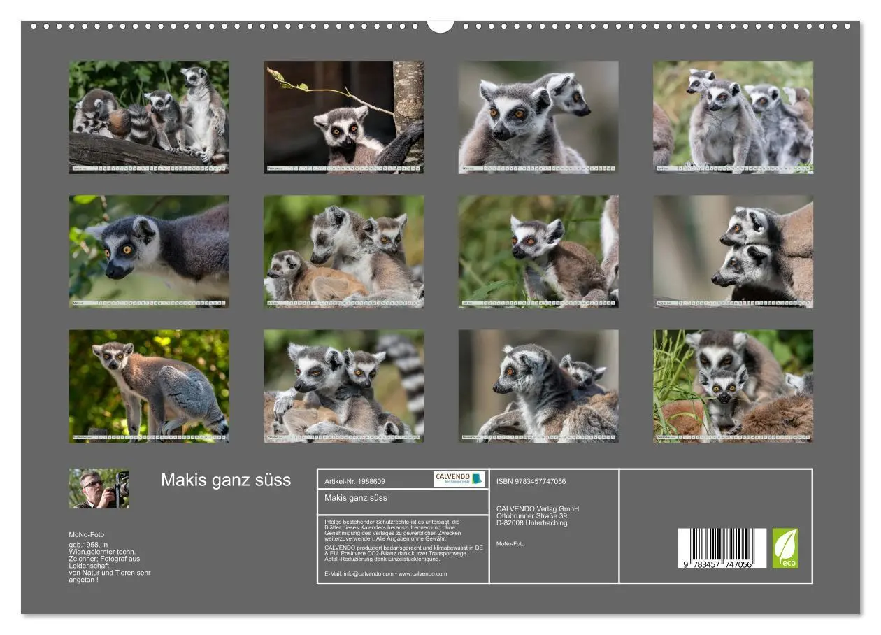 Bild: 9783457747056 | Makis ganz süss (hochwertiger Premium Wandkalender 2026 DIN A2...