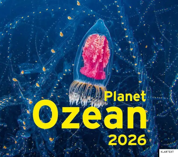 Cover: 9783837527056 | Kalender Planet Ozean 2026 | Hannah Seidel | Kalender | 14 S. | 2026