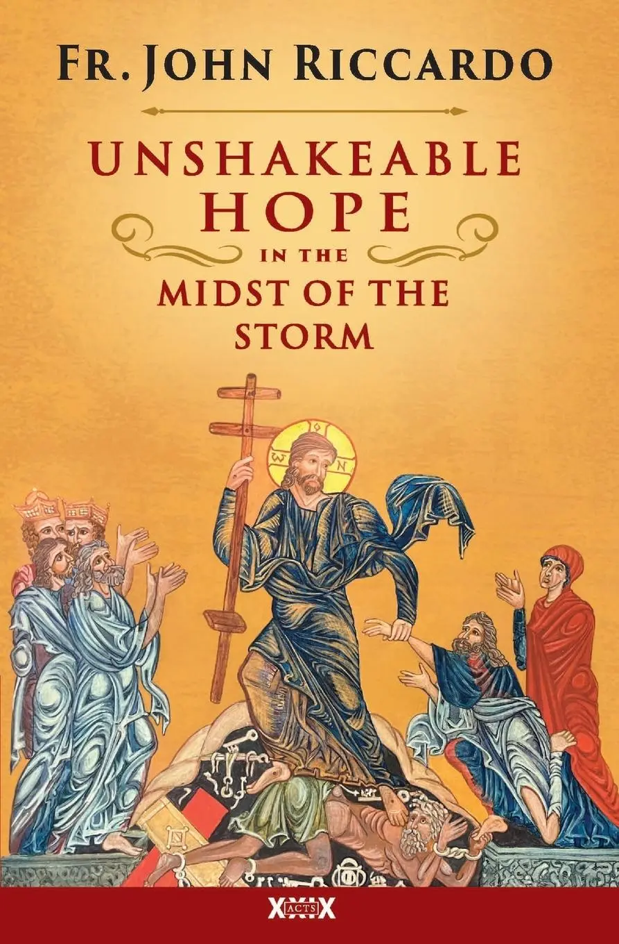 Cover: 9781593257156 | Unshakeable Hope in the Midst of the Storm | John Riccardo | Buch