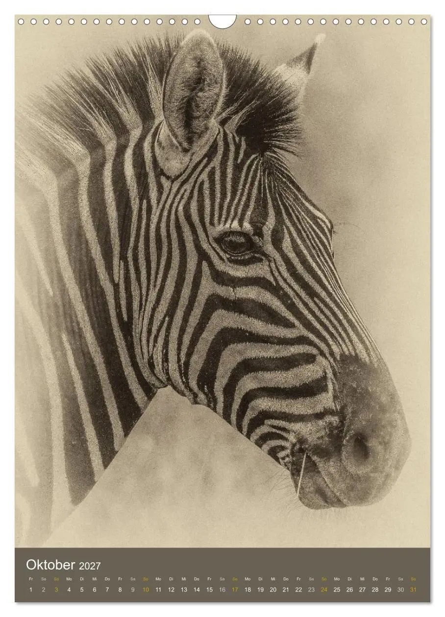 Bild: 9783569917156 | Afrikas Tierwelt - Sepia-Art (Wandkalender 2027 DIN A3 hoch),...