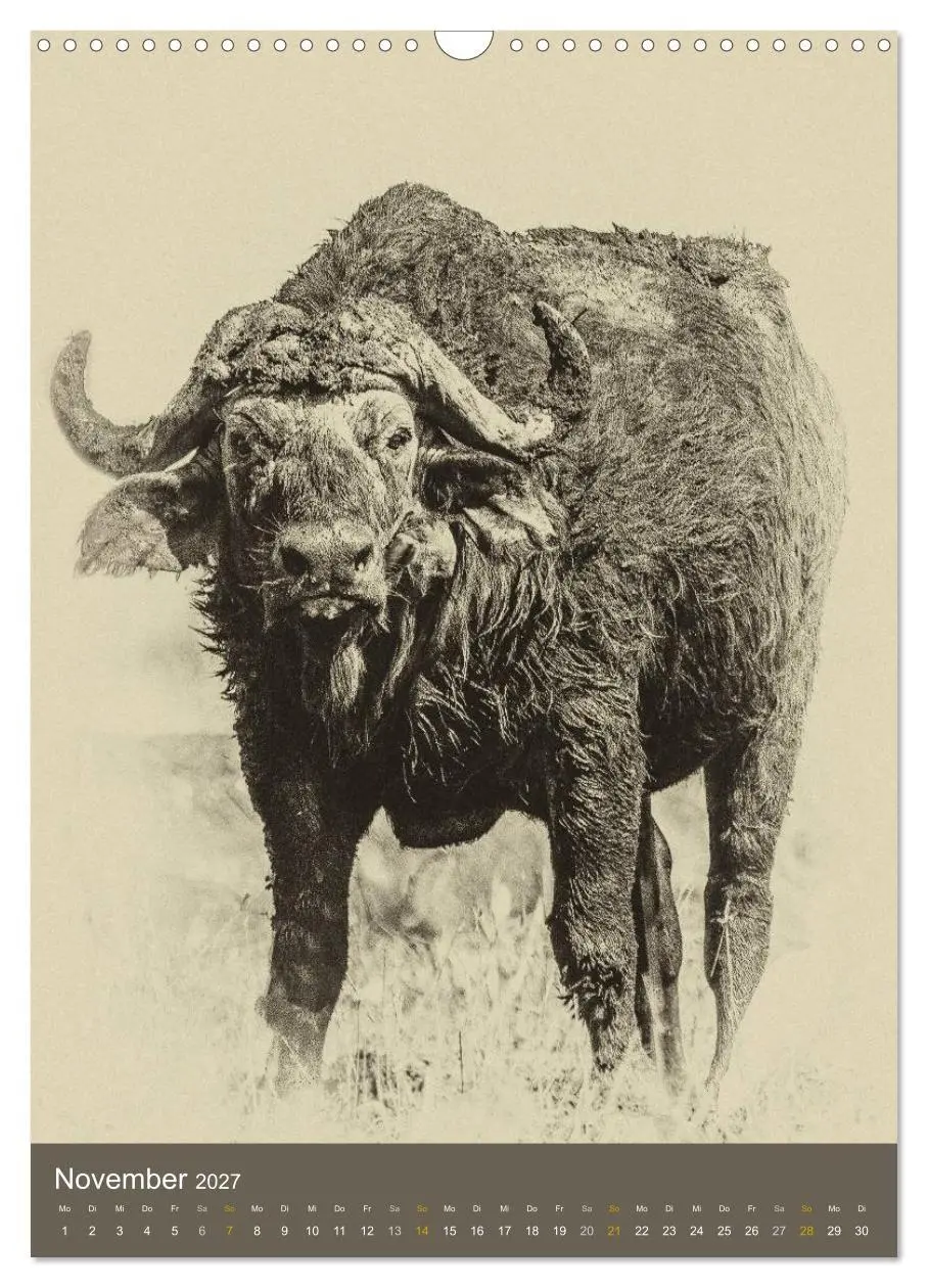Bild: 9783569917156 | Afrikas Tierwelt - Sepia-Art (Wandkalender 2027 DIN A3 hoch),...