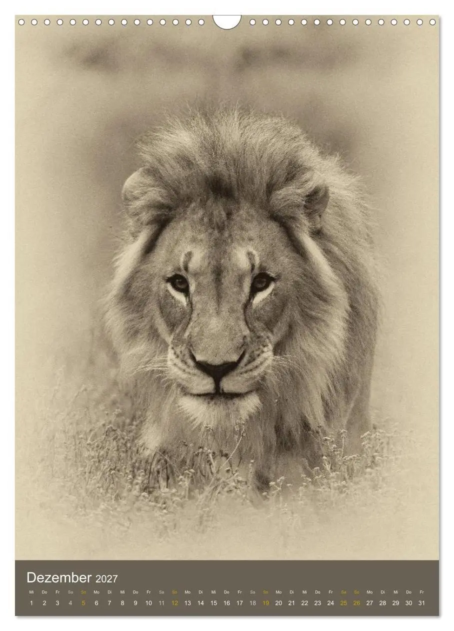 Bild: 9783569917156 | Afrikas Tierwelt - Sepia-Art (Wandkalender 2027 DIN A3 hoch),...