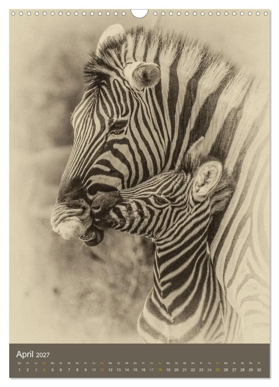 Bild: 9783569917156 | Afrikas Tierwelt - Sepia-Art (Wandkalender 2027 DIN A3 hoch),...