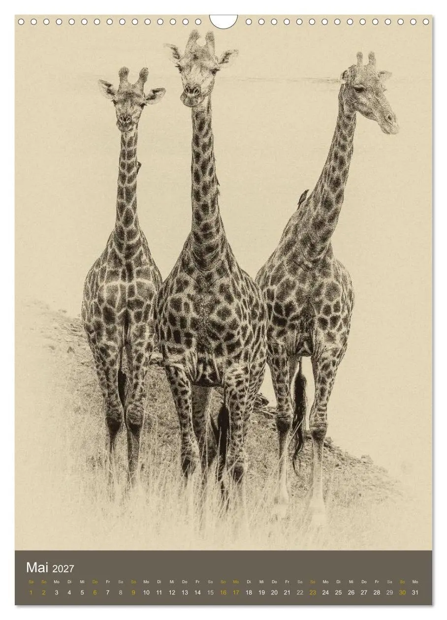 Bild: 9783569917156 | Afrikas Tierwelt - Sepia-Art (Wandkalender 2027 DIN A3 hoch),...