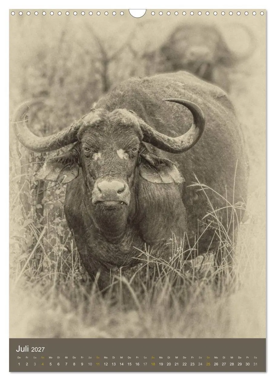 Bild: 9783569917156 | Afrikas Tierwelt - Sepia-Art (Wandkalender 2027 DIN A3 hoch),...