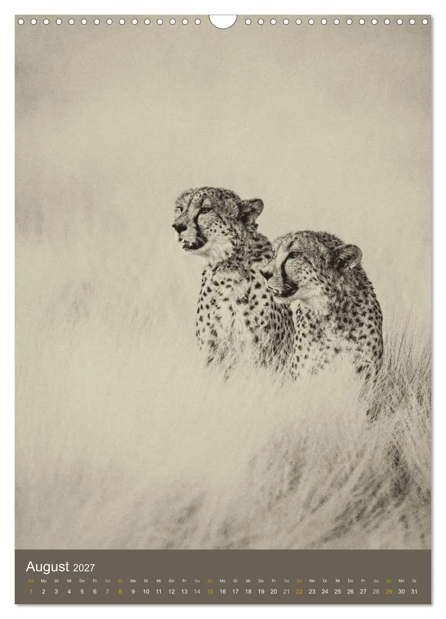 Bild: 9783569917156 | Afrikas Tierwelt - Sepia-Art (Wandkalender 2027 DIN A3 hoch),...