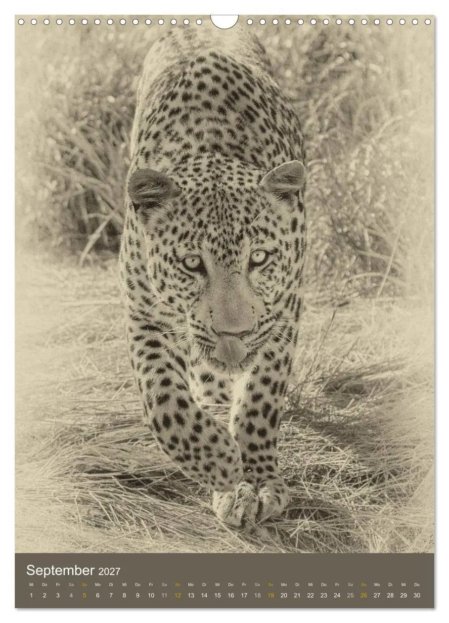 Bild: 9783569917156 | Afrikas Tierwelt - Sepia-Art (Wandkalender 2027 DIN A3 hoch),...