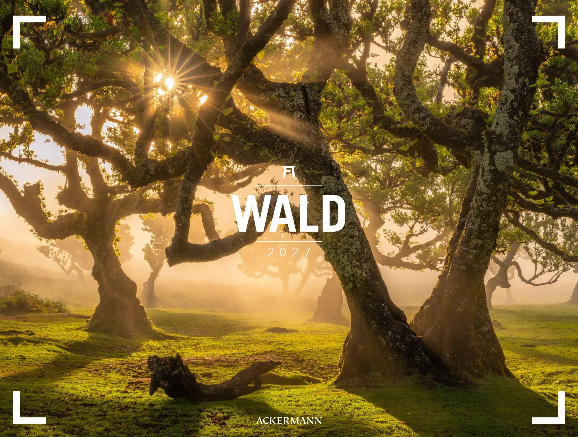 Cover: 9783838437156 | Wald Gallery Kalender 2027 | Ackermann Kunstverlag GmbH | Kalender