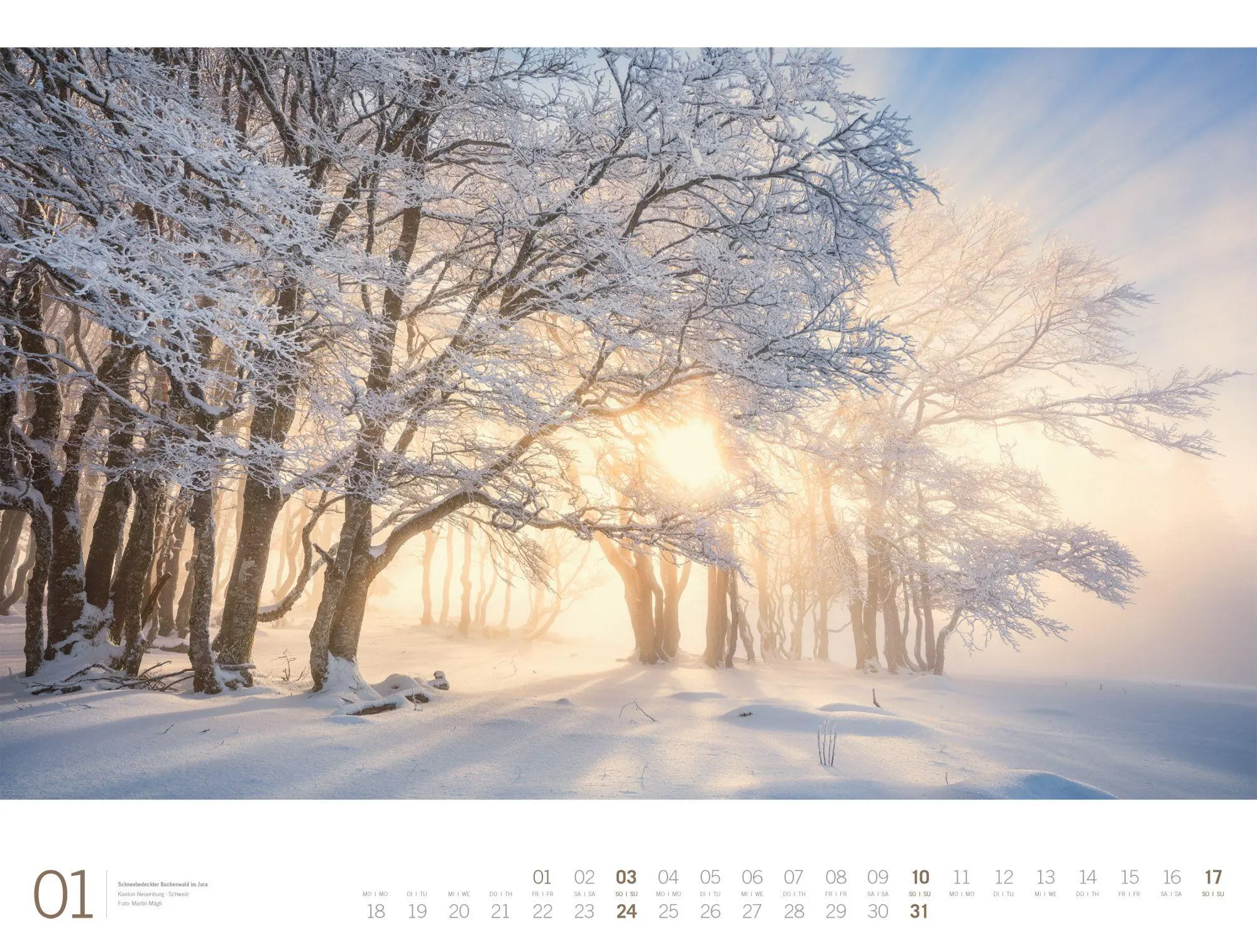 Bild: 9783838437156 | Wald Gallery Kalender 2027 | Ackermann Kunstverlag GmbH | Kalender