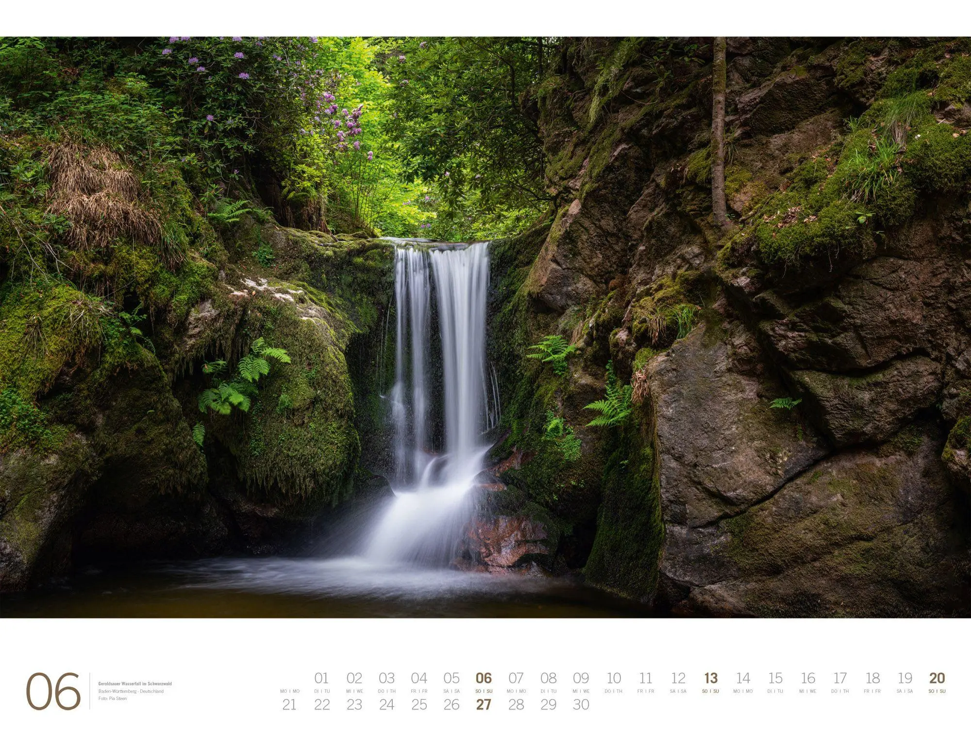 Bild: 9783838437156 | Wald Gallery Kalender 2027 | Ackermann Kunstverlag GmbH | Kalender