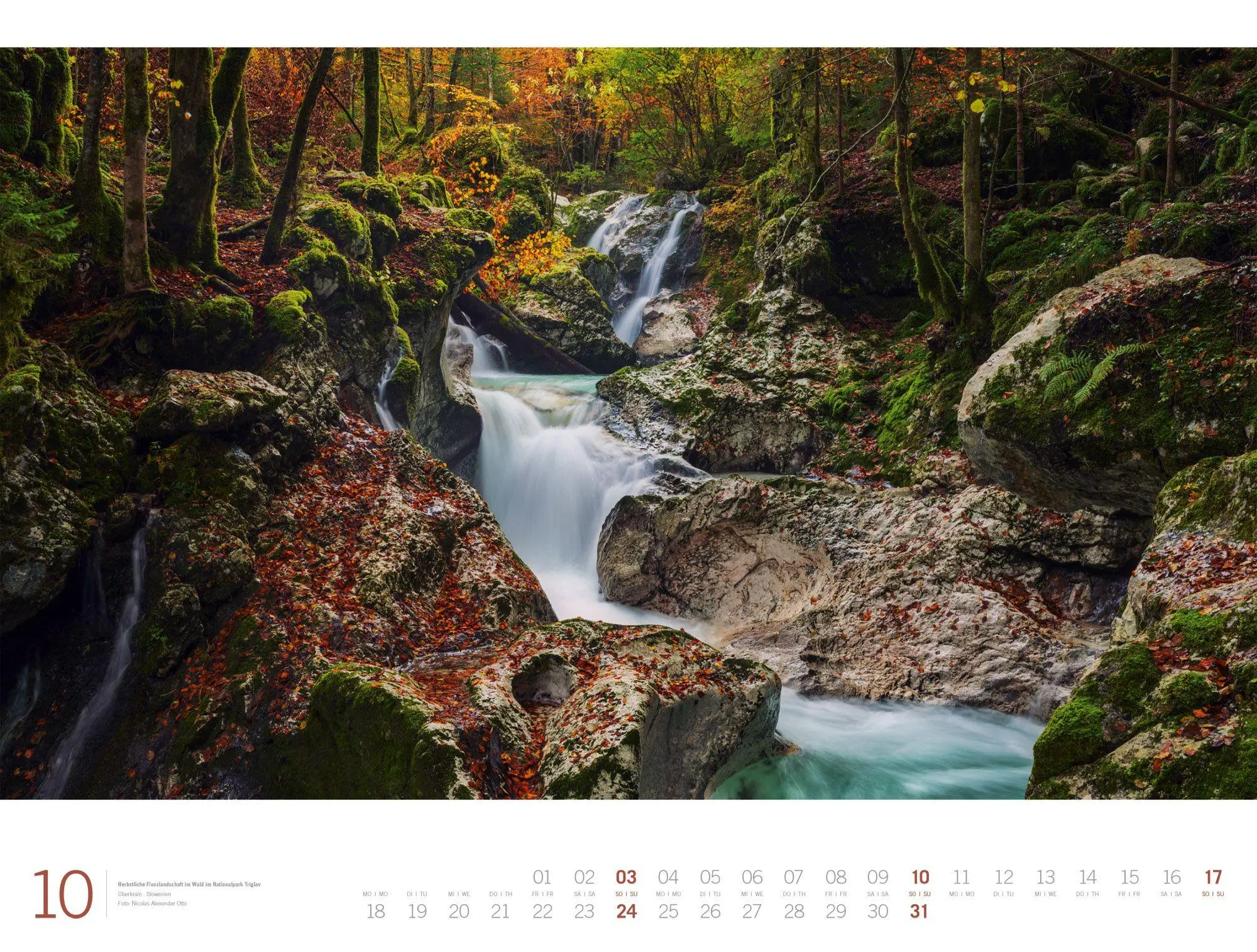 Bild: 9783838437156 | Wald Gallery Kalender 2027 | Ackermann Kunstverlag GmbH | Kalender