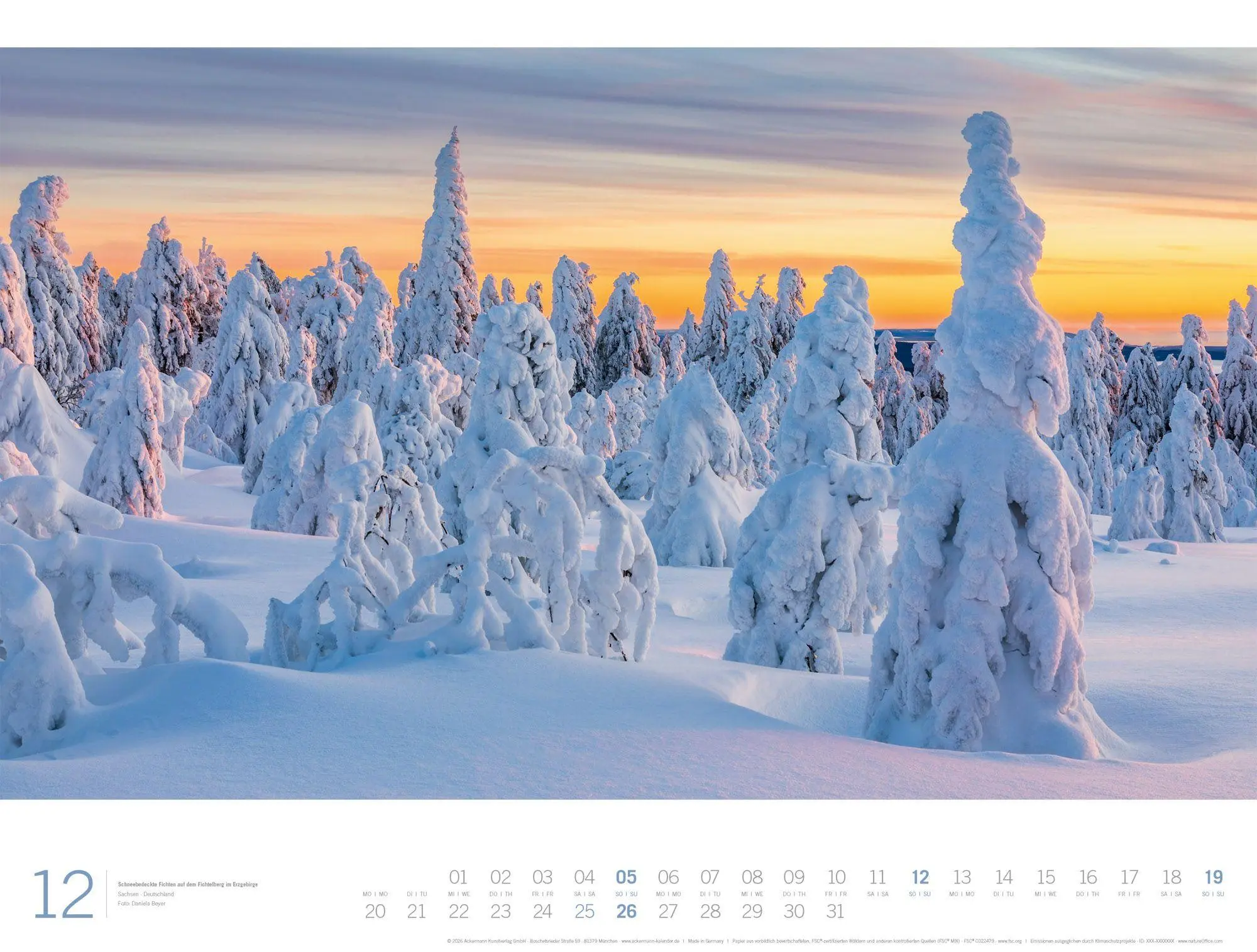Bild: 9783838437156 | Wald Gallery Kalender 2027 | Ackermann Kunstverlag GmbH | Kalender