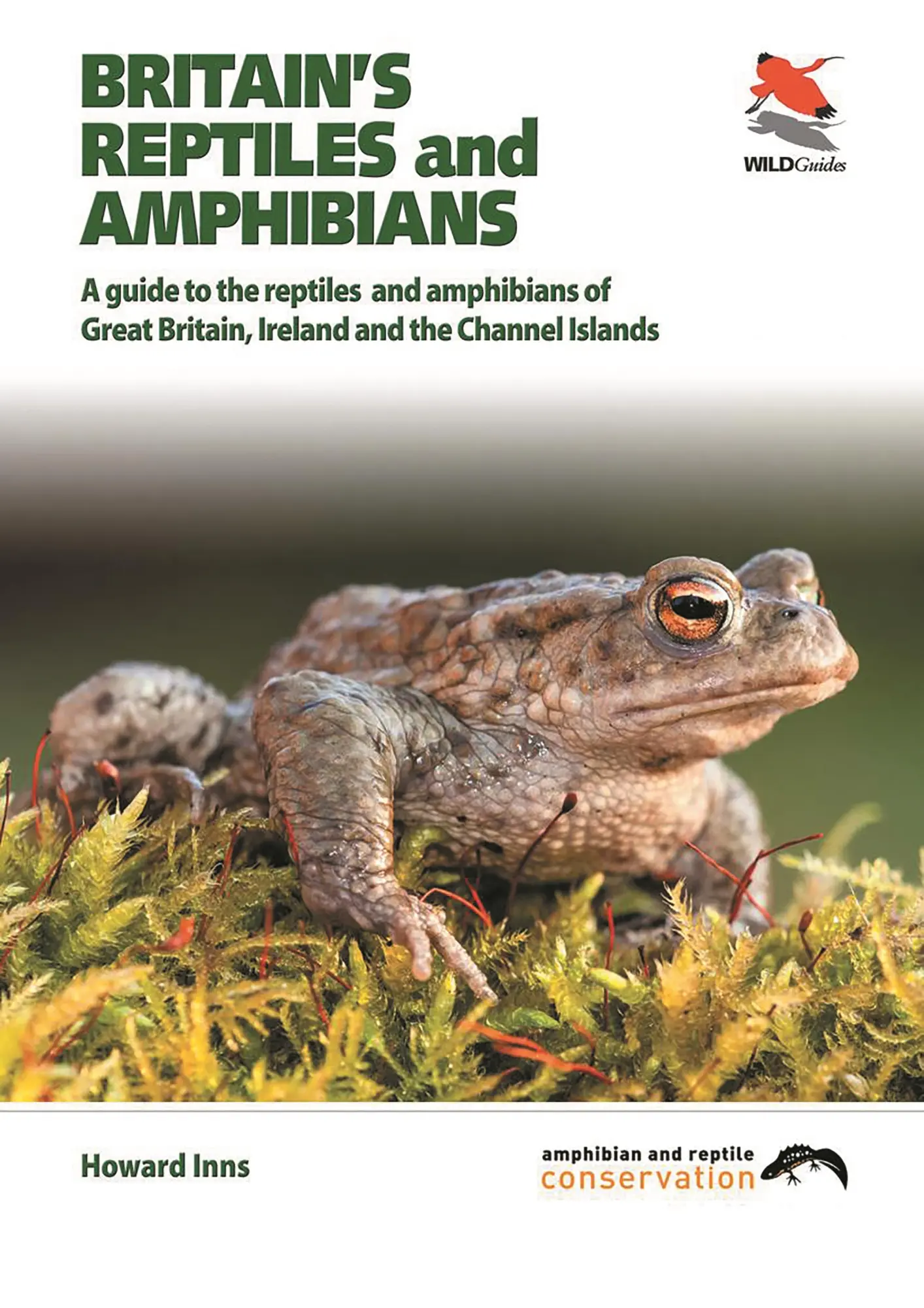 Cover: 9781903657256 | Britain's Reptiles and Amphibians | Howard Inns | Taschenbuch | 2011
