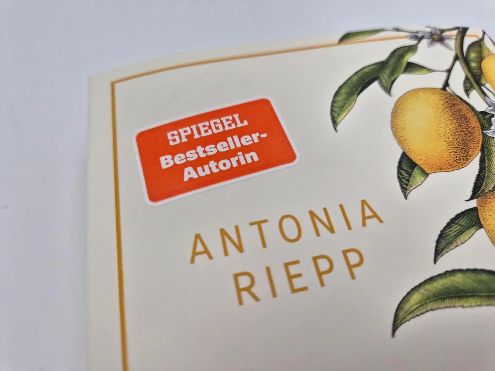 Bild: 9783492067256 | Der Garten der Geheimnisse | Antonia Riepp | Taschenbuch | 464 S.