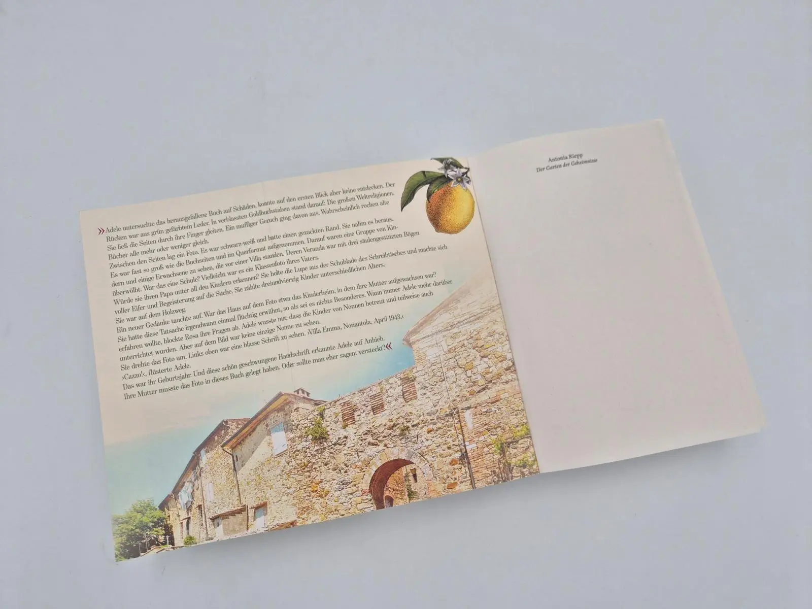 Bild: 9783492067256 | Der Garten der Geheimnisse | Antonia Riepp | Taschenbuch | 464 S.