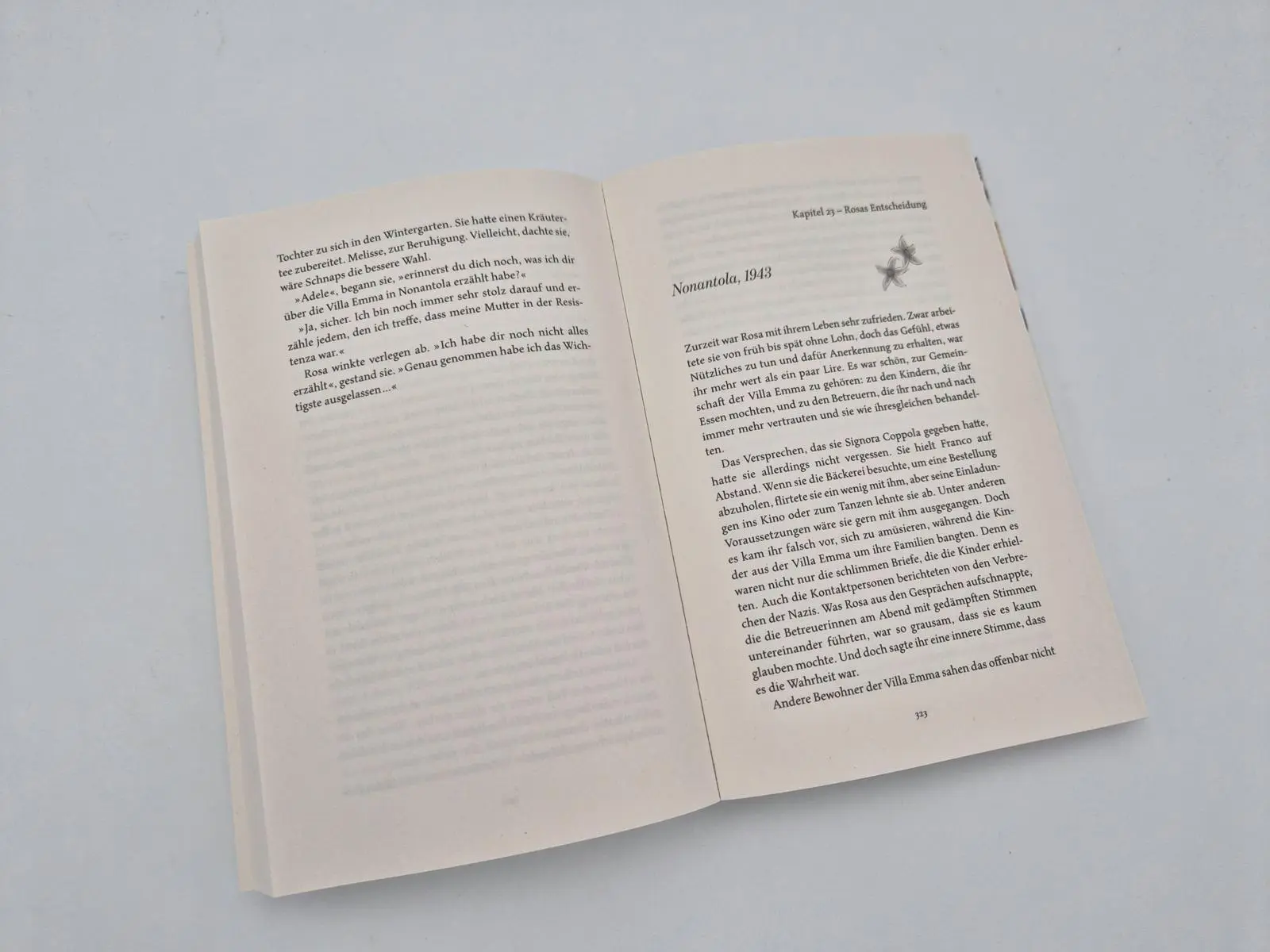Bild: 9783492067256 | Der Garten der Geheimnisse | Antonia Riepp | Taschenbuch | 464 S.
