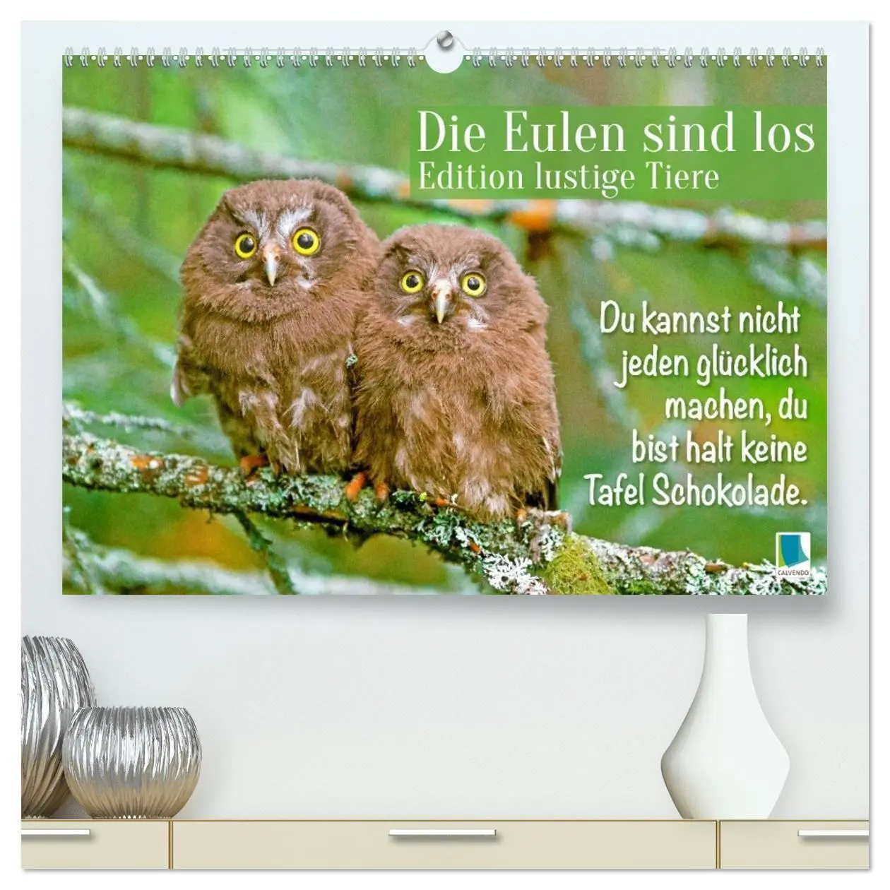 Cover: 9783516987256 | Die Eulen sind los: Edition lustige Tiere (hochwertiger Premium...