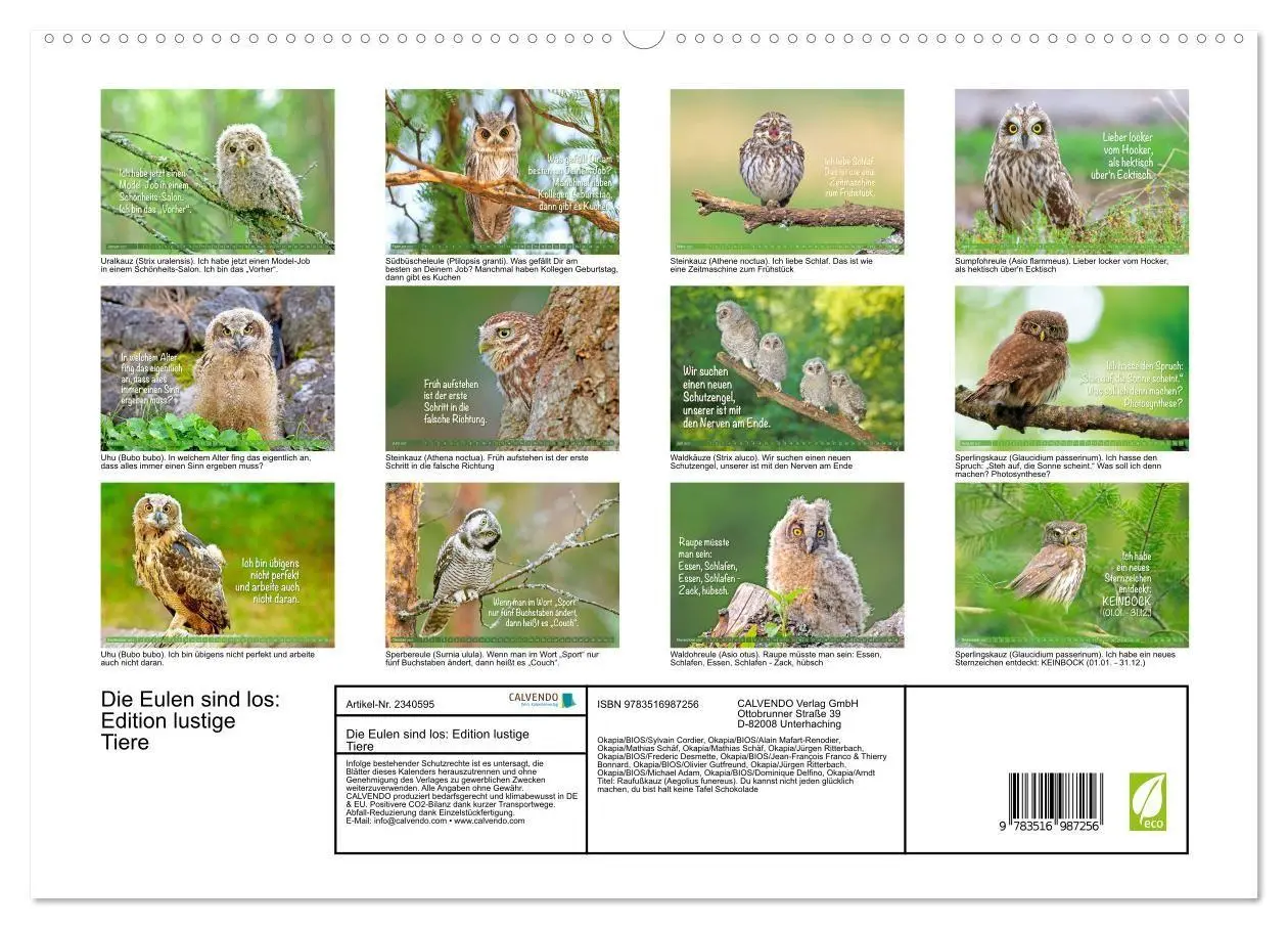 Bild: 9783516987256 | Die Eulen sind los: Edition lustige Tiere (hochwertiger Premium...