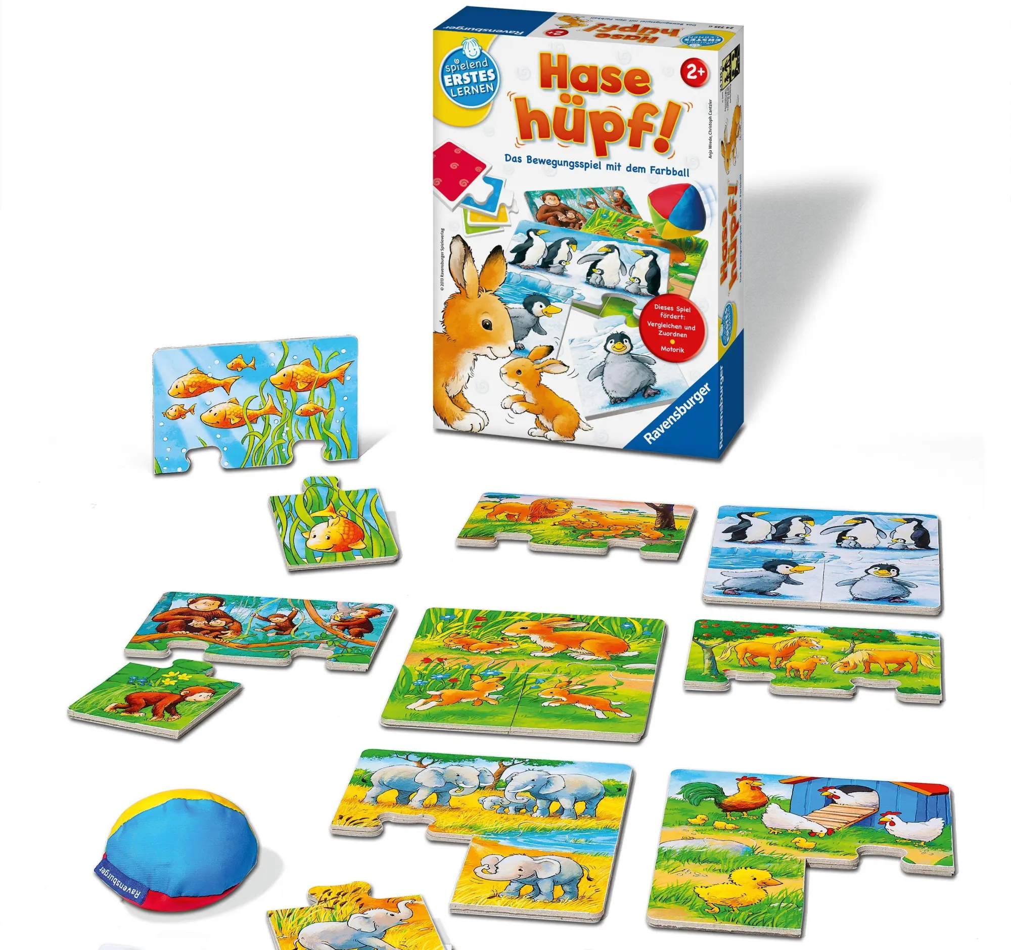 Bild: 4005556247356 | Hase hüpf! | Das Bewegungsspiel mit dem Farbball | Anja Wrede | Spiel