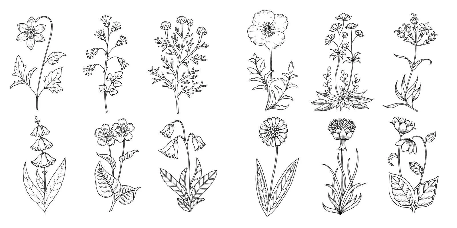 Bild: 9783747407356 | Wundervolle Wildblumen | @Johannabasford (u. a.) | Taschenbuch | 80 S.