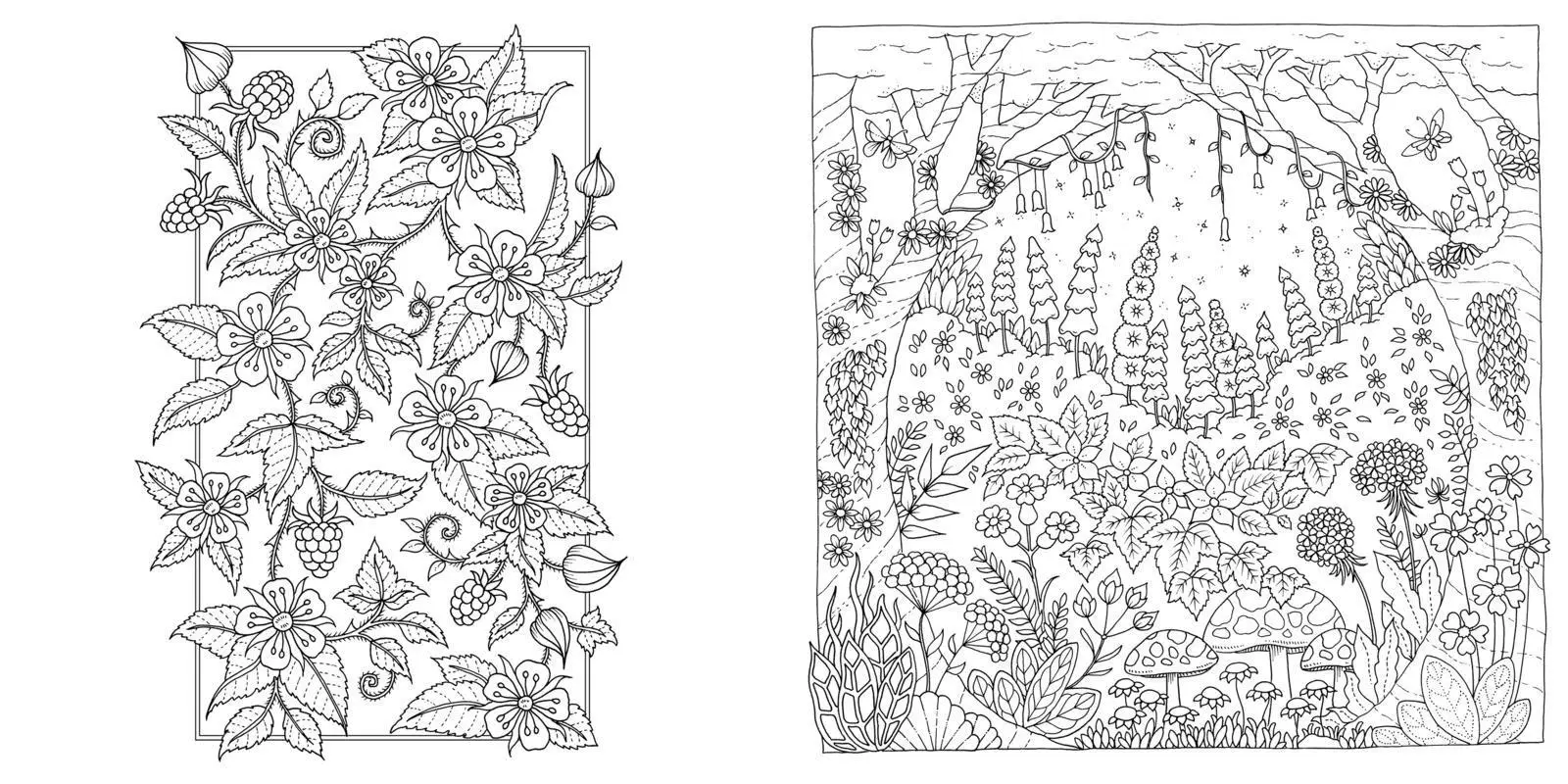 Bild: 9783747407356 | Wundervolle Wildblumen | @Johannabasford (u. a.) | Taschenbuch | 80 S.