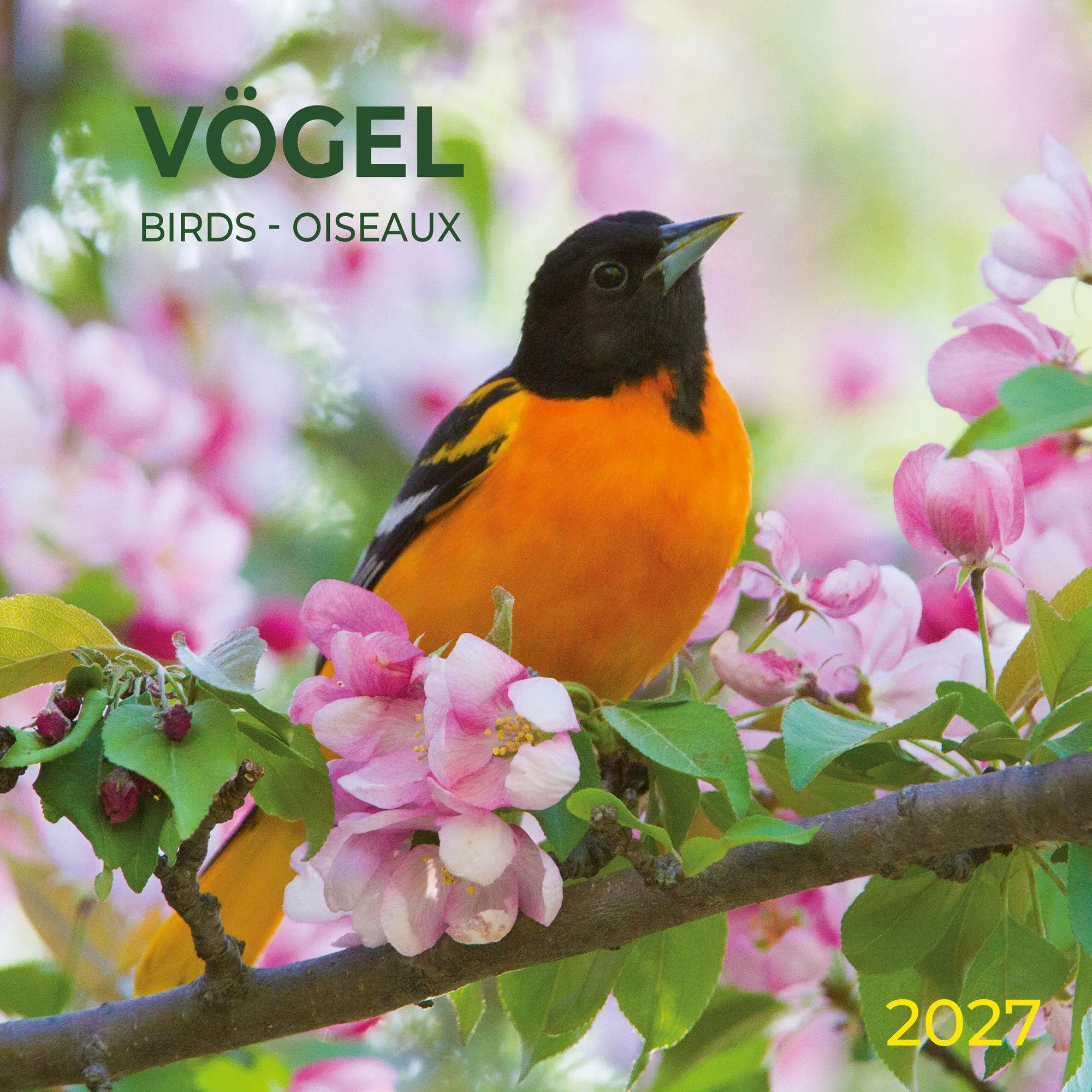Cover: 9783959297356 | Vögel / Birds 2027 | Kalender 2027 | Kalender | Artwork Edition | 2027