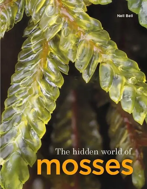 Cover: 9781910877456 | The Hidden World of Mosses | Neil Bell | Taschenbuch | Gebunden | 2023