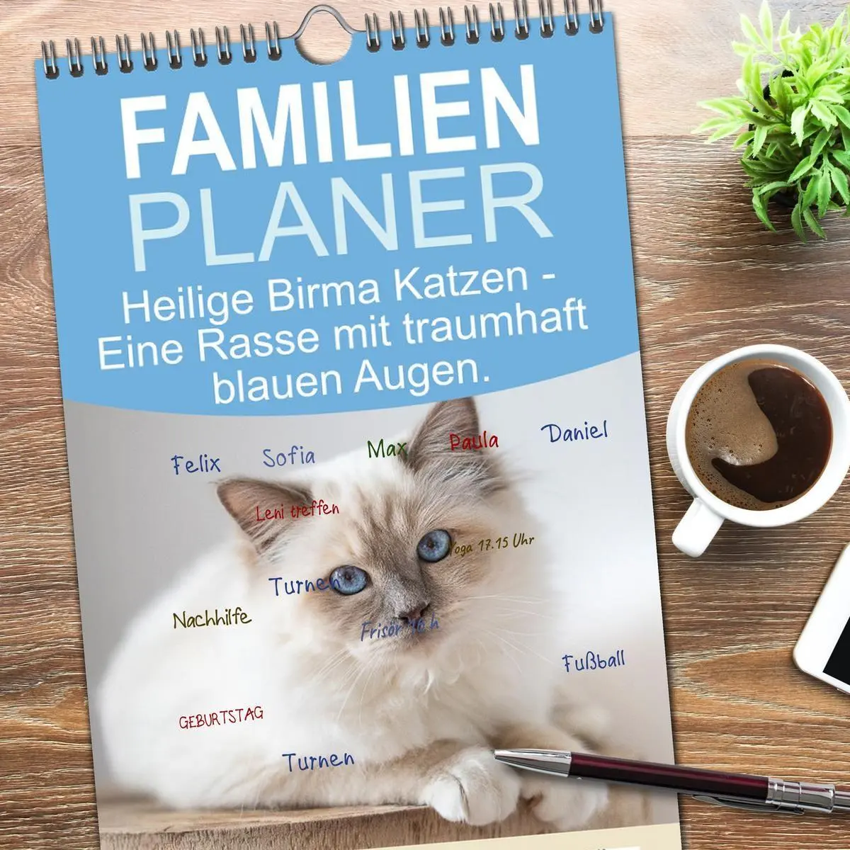 Bild: 9783516657456 | Familienplaner 2026 - Heilige Birma Katzen - Eine Rasse mit...