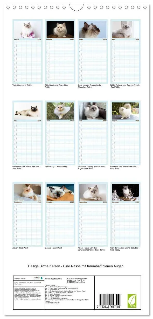 Bild: 9783516657456 | Familienplaner 2026 - Heilige Birma Katzen - Eine Rasse mit...