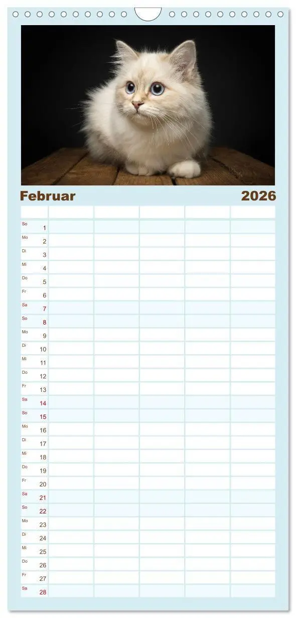 Bild: 9783516657456 | Familienplaner 2026 - Heilige Birma Katzen - Eine Rasse mit...