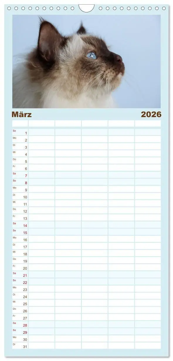 Bild: 9783516657456 | Familienplaner 2026 - Heilige Birma Katzen - Eine Rasse mit...
