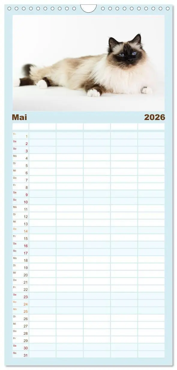 Bild: 9783516657456 | Familienplaner 2026 - Heilige Birma Katzen - Eine Rasse mit...