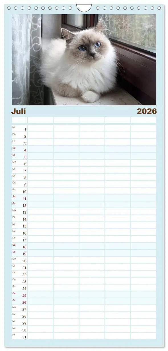 Bild: 9783516657456 | Familienplaner 2026 - Heilige Birma Katzen - Eine Rasse mit...