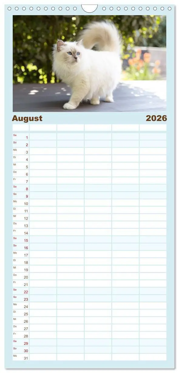 Bild: 9783516657456 | Familienplaner 2026 - Heilige Birma Katzen - Eine Rasse mit...