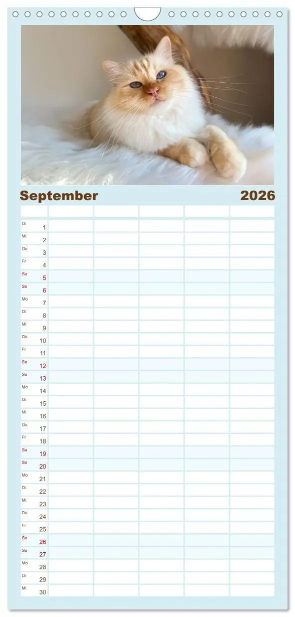 Bild: 9783516657456 | Familienplaner 2026 - Heilige Birma Katzen - Eine Rasse mit...