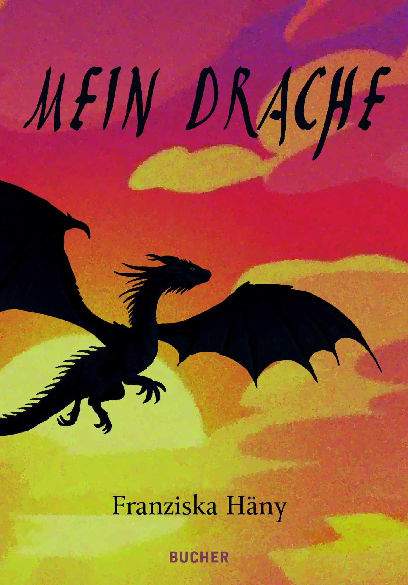 Cover: 9783990187456 | Mein Drache | Franziska Häny | Buch | 176 S. | Deutsch | 2025