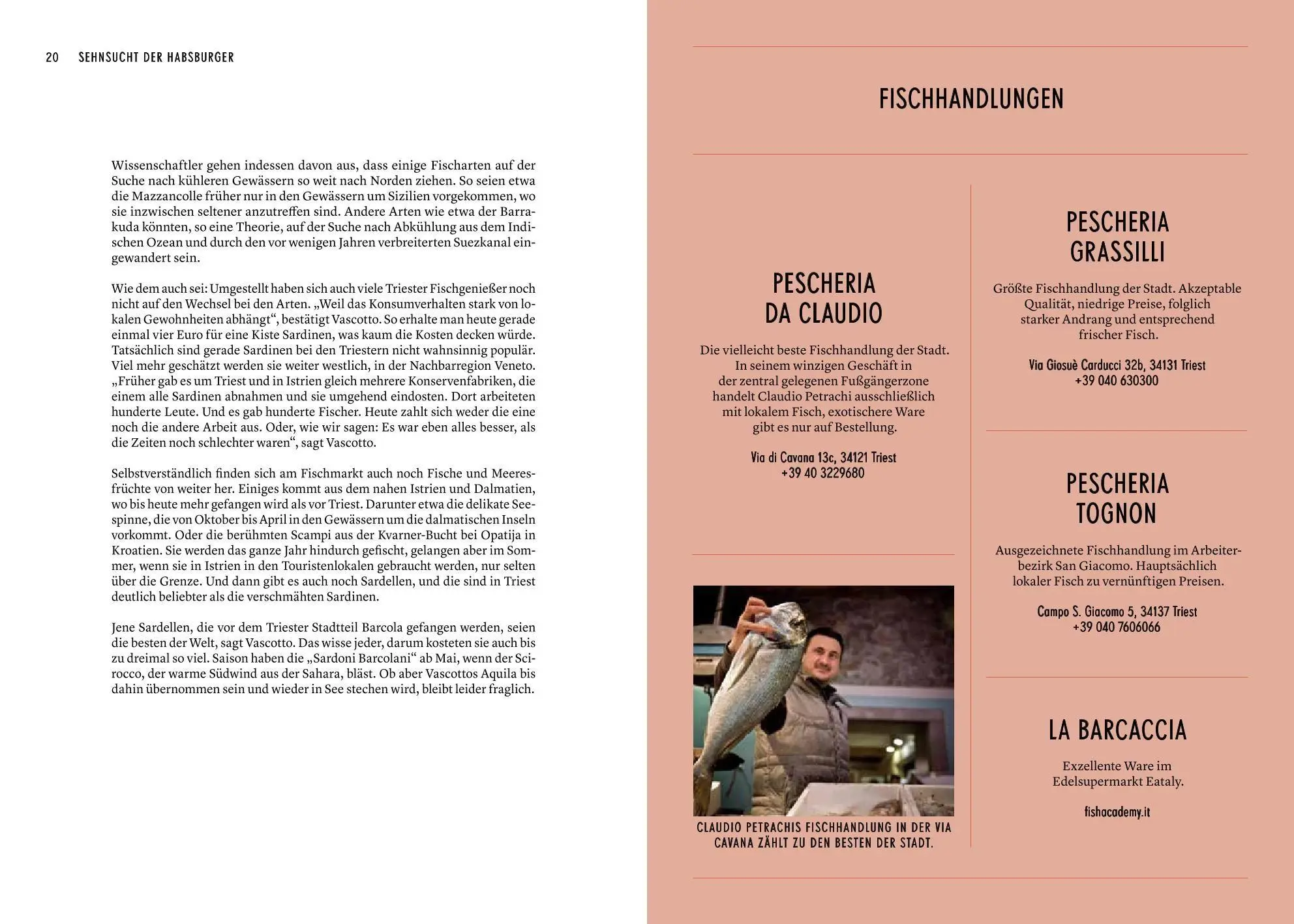 Bild: 9783222137556 | Triest für Fortgeschrittene | George Desrues (u. a.) | Taschenbuch