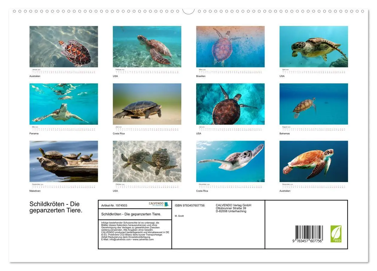 Bild: 9783457607756 | Schildkröten - Die gepanzerten Tiere. (Wandkalender 2026 DIN A2...