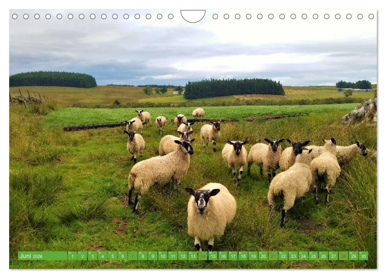 Bild: 9783457917756 | Schottland - Impressionen von magischen Orten (Wandkalender 2026...
