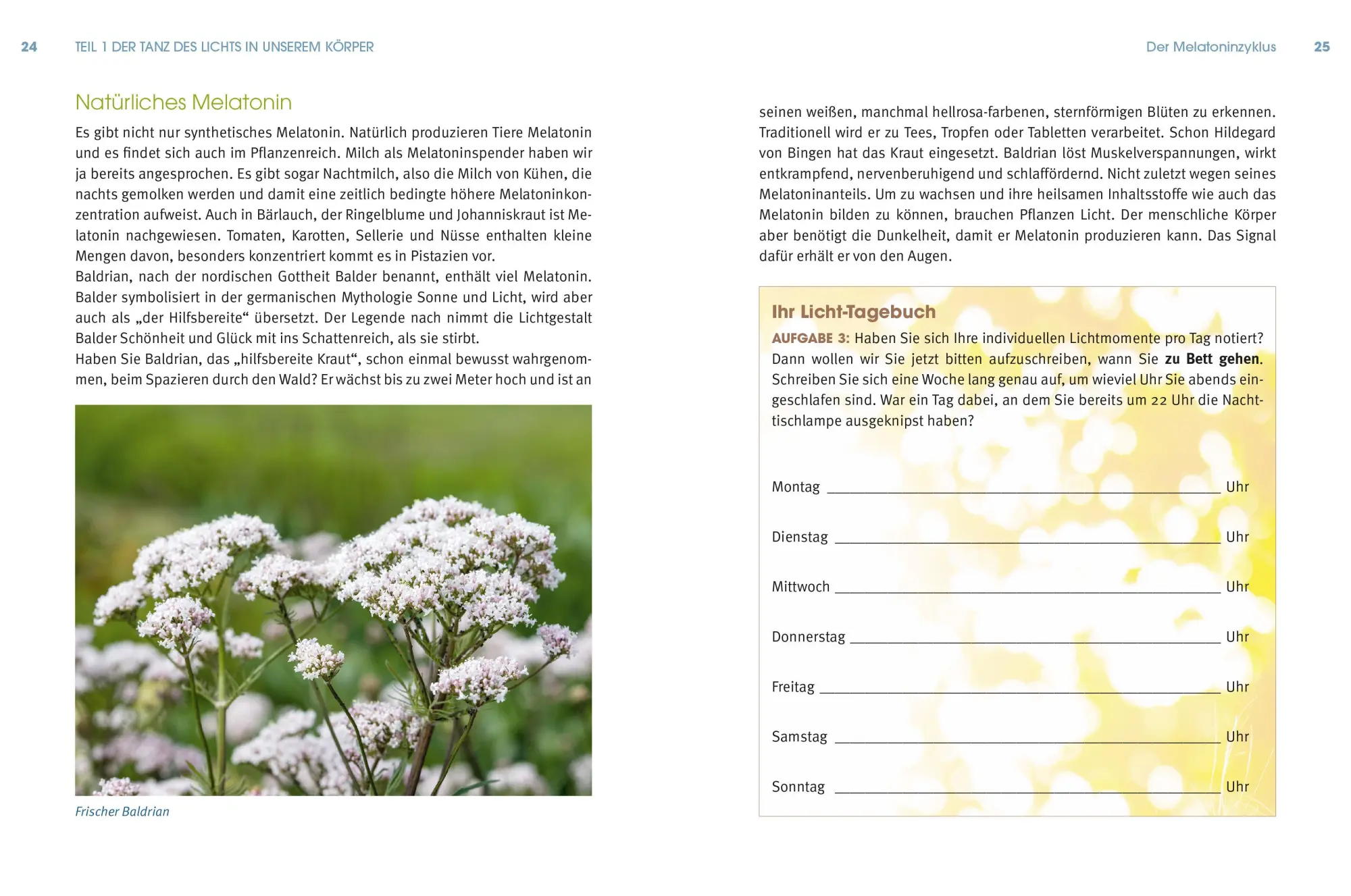 Bild: 9783517097756 | Lichtbaden | Ulrich Bauhofer (u. a.) | Taschenbuch | 216 S. | Deutsch