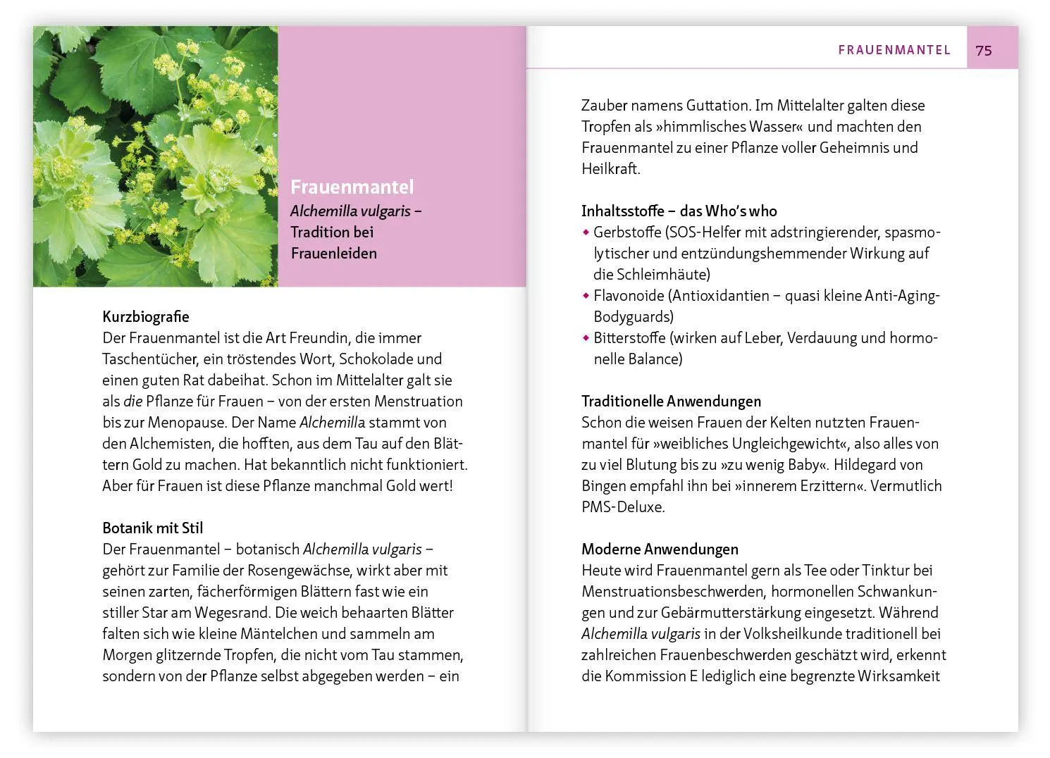 Bild: 9783863747756 | Mönchspfeffer, Frauenmantel &amp; Co. | Ingrid Gerhard (u. a.) | Buch