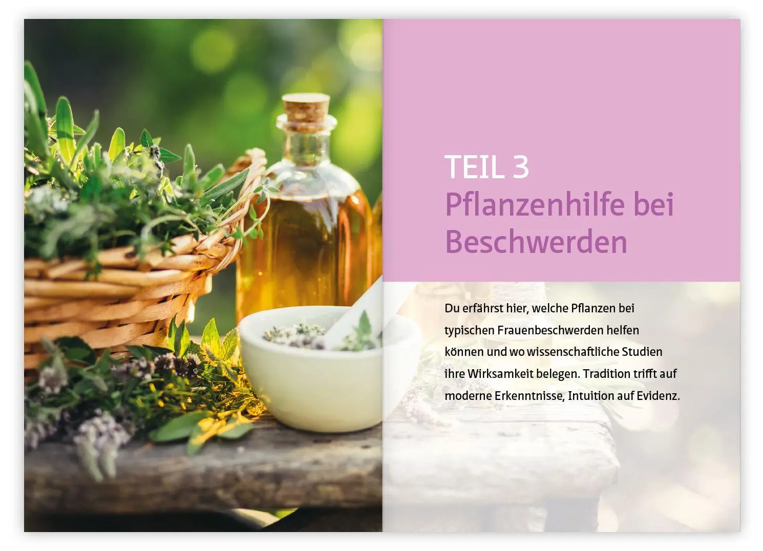 Bild: 9783863747756 | Mönchspfeffer, Frauenmantel &amp; Co. | Ingrid Gerhard (u. a.) | Buch