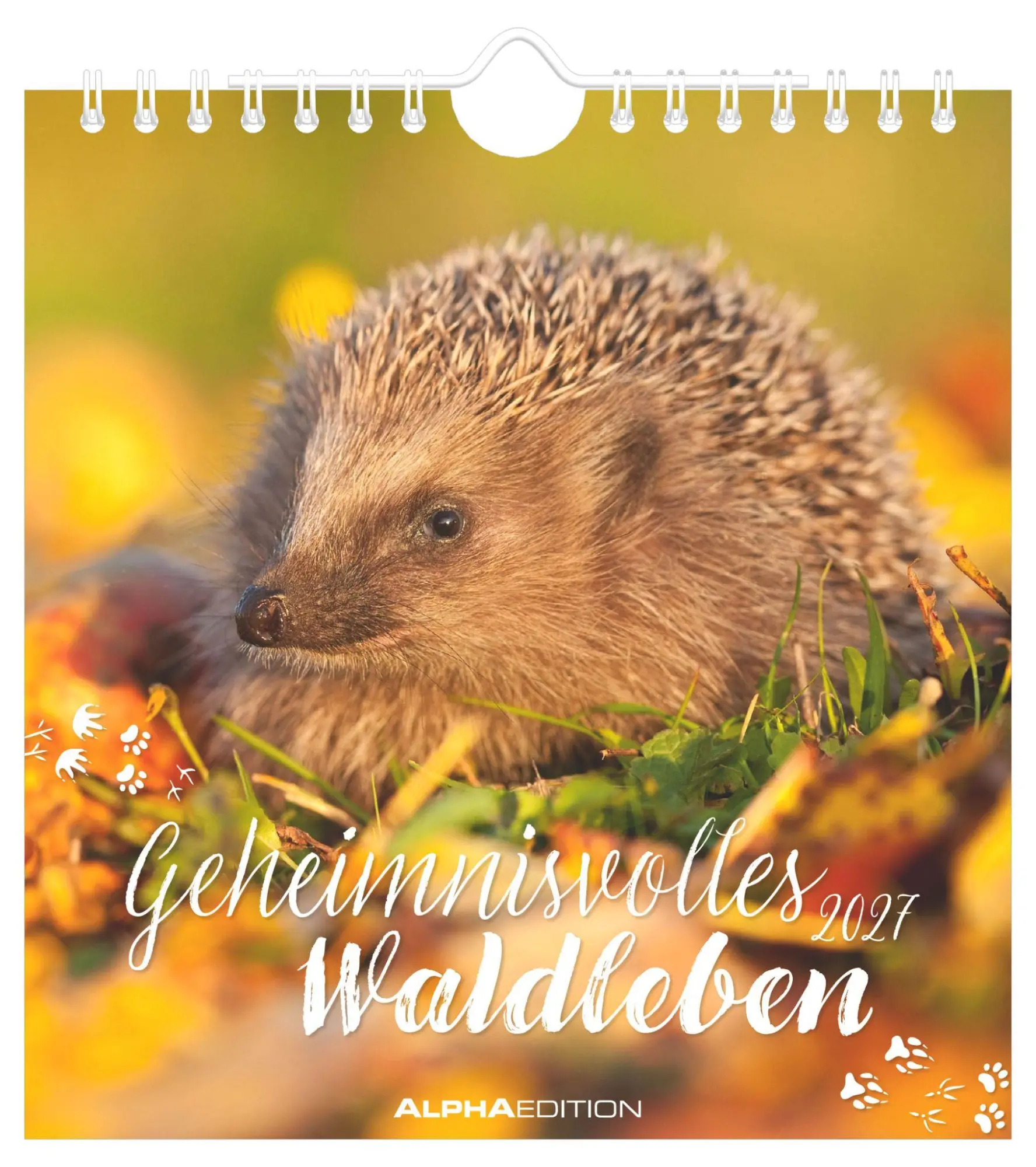 Cover: 4069095017856 | Geheimnisvolles Waldleben 2027 | Neumann Verlage GmbH &amp; Co KG | 14 S.
