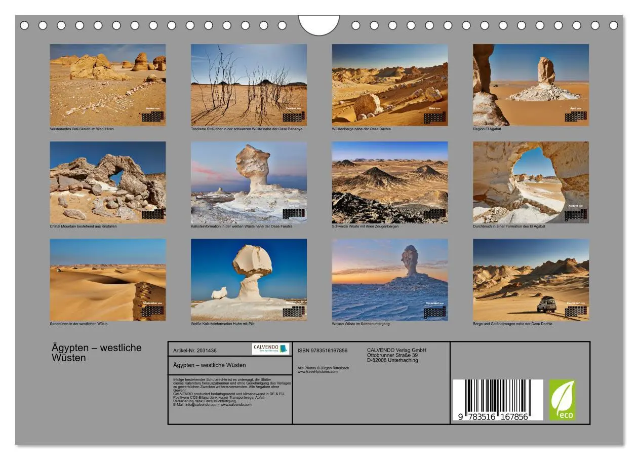 Bild: 9783516167856 | Ägypten - westliche Wüsten (Wandkalender 2026 DIN A4 quer),...