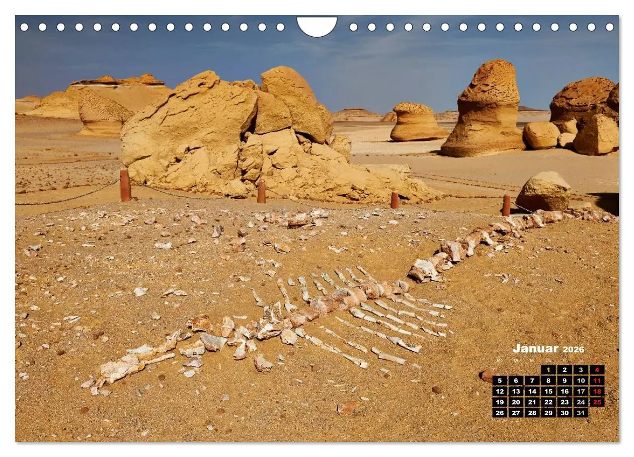 Bild: 9783516167856 | Ägypten - westliche Wüsten (Wandkalender 2026 DIN A4 quer),...