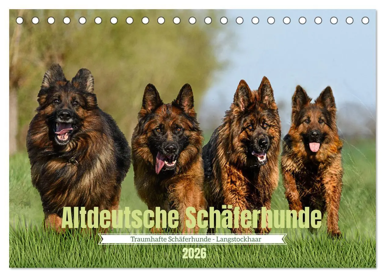 Cover: 9783457517956 | Altdeutsche Schäferhunde - Traumhafte Schäferhunde Langstockhaar...
