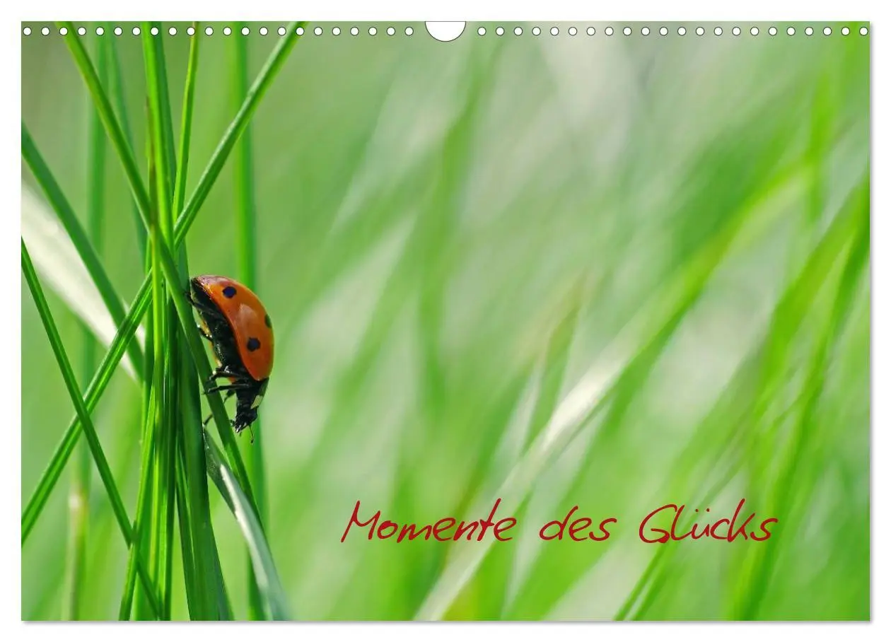 Cover: 9783516227956 | Momente des Glücks (Wandkalender 2026 DIN A3 quer), CALVENDO...