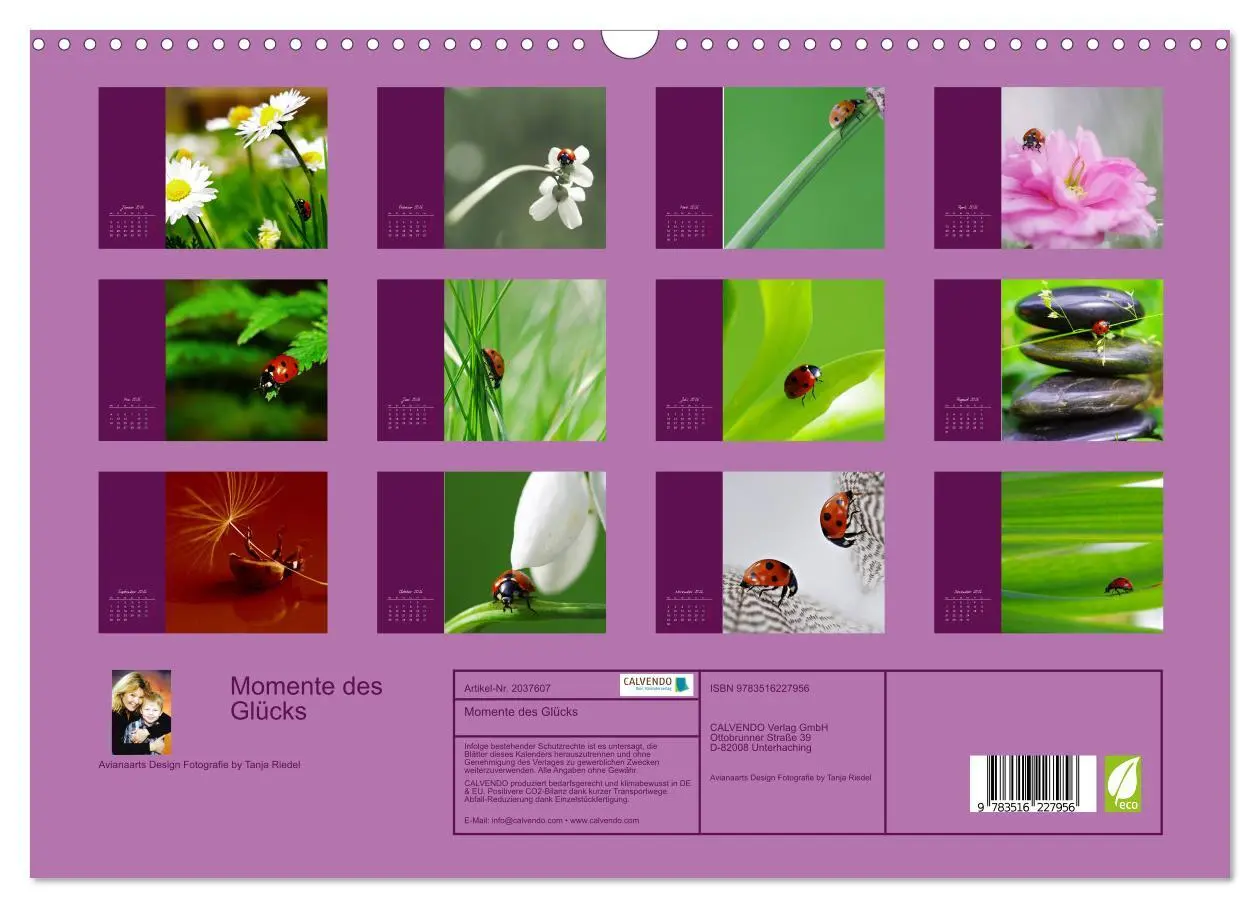 Bild: 9783516227956 | Momente des Glücks (Wandkalender 2026 DIN A3 quer), CALVENDO...